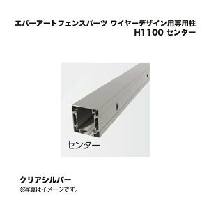 ^JV[ Go[A[gtFXp[c C[fUCpp H1100 Z^[ NAVo[ 1{