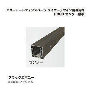 ^JV[ Go[A[gtFXp[c C[fUCpp H800 Z^[p ubNG{j[ 1{