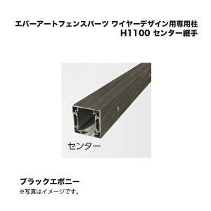 ^JV[ Go[A[gtFXp[c C[fUCpp H1100 Z^[p ubNG{j[ 1{