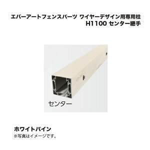 ^JV[ Go[A[gtFXp[c C[fUCpp H1100 Z^[p zCgoC 1{