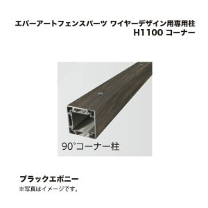 ^JV[ Go[A[gtFXp[c C[fUCpp H1100 R[i[ ubNG{j[ 1{