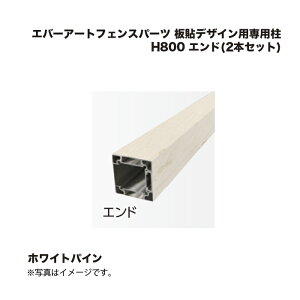 ^JV[ Go[A[gtFXp[c \fUCpp H800 Gh(2{Zbg) zCgpC 1g