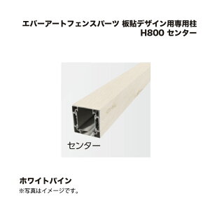 ^JV[ Go[A[gtFXp[c \fUCpp H800 Z^[ zCgpC 1{