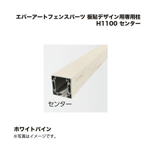 ^JV[ Go[A[gtFXp[c \fUCpp H1100 Z^[ zCgpC 1{