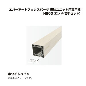 ^JV[ Go[A[gtFXp[c \jbgpp H800 Gh(2{Zbg) zCgpC 1g