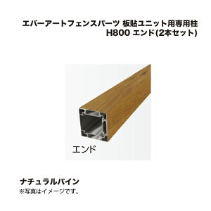 ^JV[ Go[A[gtFXp[c \jbgpp H800 Gh(2{Zbg) i`pC 1g
