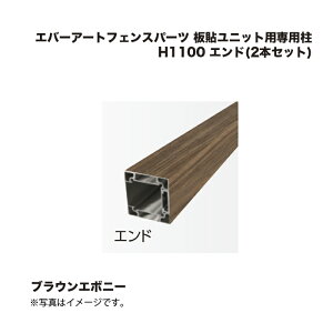 ^JV[ Go[A[gtFXp[c \jbgpp H1100 Gh(2{Zbg) uEG{j[ 1g