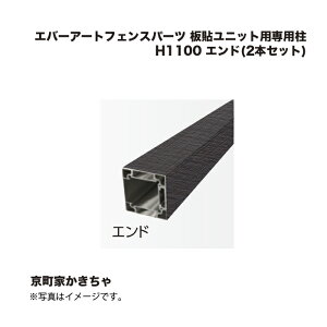 ^JV[ Go[A[gtFXp[c \jbgpp H1100 Gh(2{Zbg) Ƃ 1g