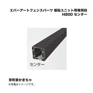 ^JV[ Go[A[gtFXp[c \jbgpp H800 Z^[ Ƃ 1{