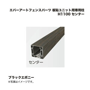 ^JV[ Go[A[gtFXp[c \jbgpp H1100 Z^[ ubNG{j[ 1{