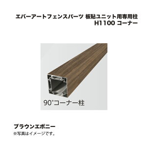 ^JV[ Go[A[gtFXp[c \jbgpp H1100 R[i[ uEG{j[ 1{