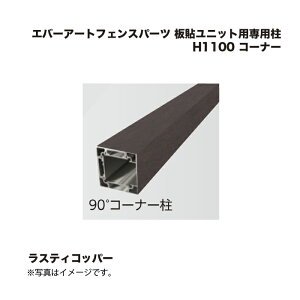 ^JV[ Go[A[gtFXp[c \jbgpp H1100 R[i[ XeBRbp[ 1{