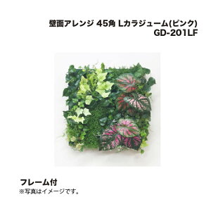 ^JV[ GD-201LF ǖʃAW 45p LJW[(sN) t[t 1