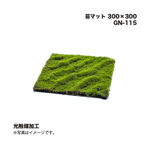 ^JV[ GN-115 ۃ}bg 300×300 G}H 1