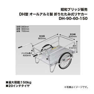 aubW̔ DH-90-60-150 DH^ őύڏd150kg I[A~ ܂肽ݎJ[ 20C`^C ACR