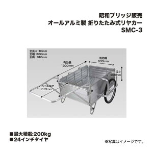 aubW̔ SMC-3 ܂肽ݎJ[ 24C`^C őύڏd200kg I[A~ ACR