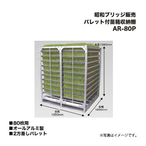 ACR aubW̔ AR-80P pbgtc[I 80p I[A~ 2pbg