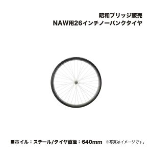 ACR aubW̔ NAWp26C`m[pN^C