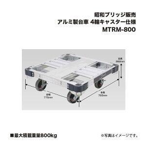 ACR aubW̔ MTRM-800 A~ 4փLX^[dl őύڏd800kg
