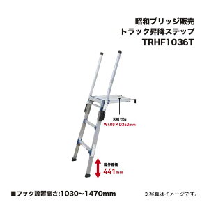 ACR aubW̔ TRHF1036T gbN~Xebv