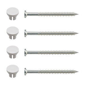 カクダイ 426-497 洗濯機用防水パン取付ビス・キャップセット