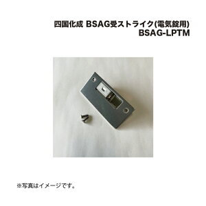 l BSAGXgCN(dCp) BSAG-LPTM