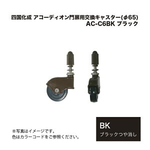 l AR[fBIpLX^[(65) AC-C6BK ubN