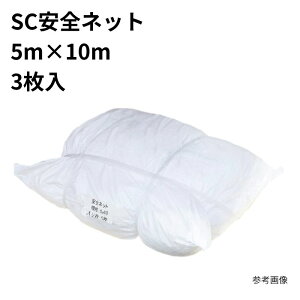 SCSlbg 5m×10m 3 ܂Ƃߔ 1