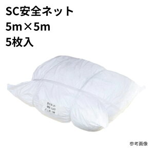 SCSlbg 5m×5m 5 ܂Ƃߔ 1