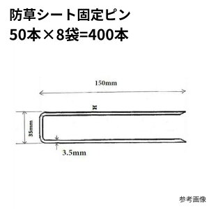 400 hV[gŒs ܂Ƃߔ 1 1P[X