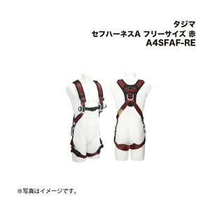 ^W}(Tajima) Ztn[lXA t[TCY  A4SFAF-RE