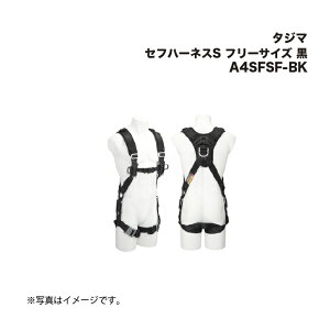 ^W}(Tajima) Ztn[lXS t[TCY  A4SFSF-BK