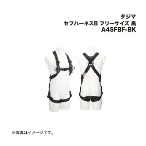 ^W}(Tajima) Ztn[lXB t[TCY  A4SFBF-BK