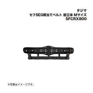 ^W}(Tajima) ZtSEGăxg  MTCY SFCRX800