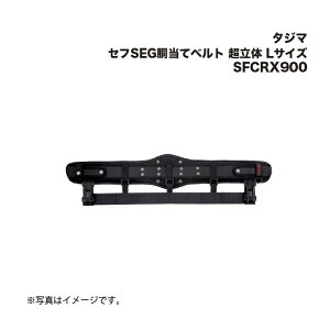 ^W}(Tajima) ZtSEGăxg  LTCY SFCRX900