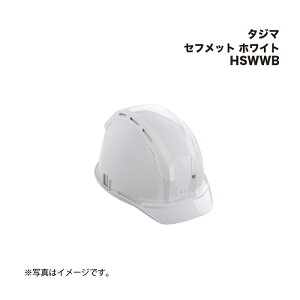 ^W}(Tajima) Ztbg zCg HSWWB