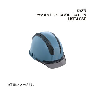 ^W}(Tajima) Ztbg A[Xu[ X[N HSEACSB
