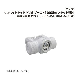 ^W}(Tajima) ZtwbhCg KJM u[Xg1000lm tbhƎ [dr zCg SFKJM100A-N30W