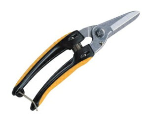 ARS AX 140DX-D dCHp pr^Cv