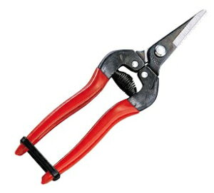 ARS �A���X 300S-BP �E���� �V���[�g�^�C�v(�u���X�^�[�p�b�N)