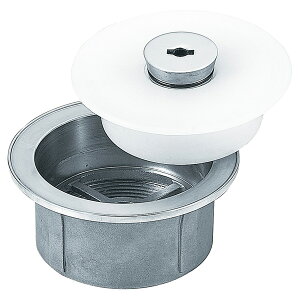  SNF-RS-75 XeXpr R[|[V CHUBU