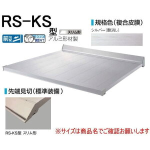 DAIKEN �_�C�P�� �� RS�o�C�U�[ RS-KS�^ D900×W1200 �V���o�[ (�X�e�[��)
