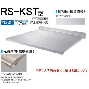 DAIKEN �_�C�P�� �� RS�o�C�U�[ RS-KST�^ D800×W1800 �V���o�[ (�X�e�[��)