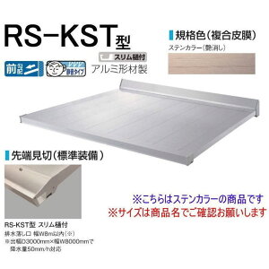 DAIKEN �_�C�P�� �� RS�o�C�U�[ RS-KST�^ D800×W1600 �X�e���J���[ (�X�e�[��)