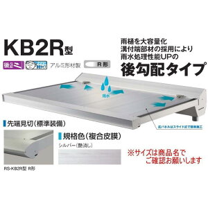 DAIKEN �_�C�P�� �� RS�o�C�U�[ RS-KB2R�^ D800×W1500 �V���o�[ (�X�e�[��)