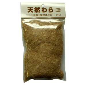 tWw VR N[Abv ]yǗp 4943068413060 (803726)