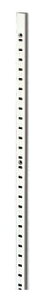 �X�K�c�l LAMP �I�� SP-650�iSUS304) 120-030-686 60����i1���j