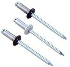 uebNX Gr CNSA54BEB J[uChxbg A~jEtWXeB[Vtg 300{ uX^[