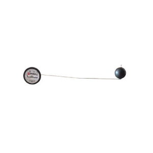 _CP z[^Ni ICQ[W 25p^p TOG25 DK25Sp s