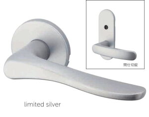 ۊ D-900 GMo[nhLimited Ԏd؏  TXS-1K12 limited silver }Ln[hEFA